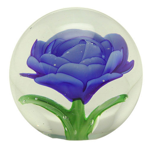 Sininen ruusu lasipallossa